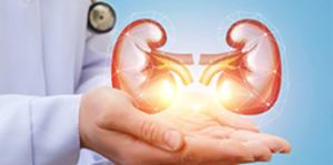 Interpretation of Renal Function Test