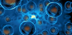 Glycolysis - All Cells Do It