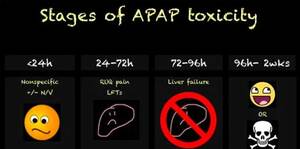 Toxicology acetaminophen