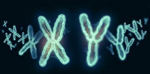 Cytogenetics Overview: The Journey of chromosomes from the cell to karyotype