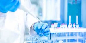 Future Career for MLT Graduate:Postgraduates Studies or Job?