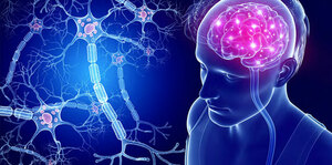 Objective Neurological Examination