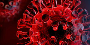 Impact of COVID19 Pandemic on Other Respiratory Viruses