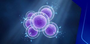 Prevalence of Gram-Positive Resistance Locally and Globally