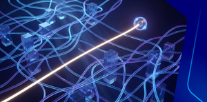 Navigating Complexity