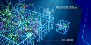 Welcome to the jungle : Establishing antimicrobial stewardship program