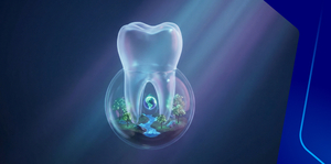 Environment Considerations