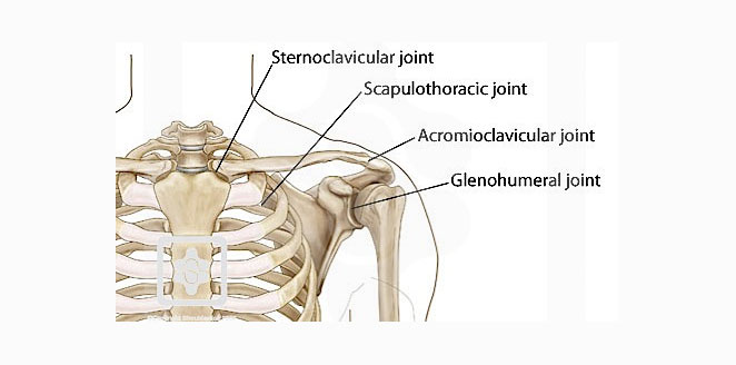 Shoulder joint assessment and treatment part II.